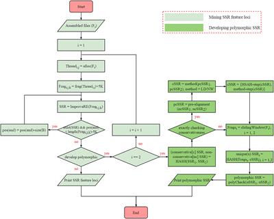 SSRMMD: A Rapid and Accurate Algorithm for Mining SSR Feature Loci and Candidate Polymorphic SSRs Based on Assembled Sequences